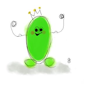 Qualifizierte Kita-Leitung KOMPAKTKURS